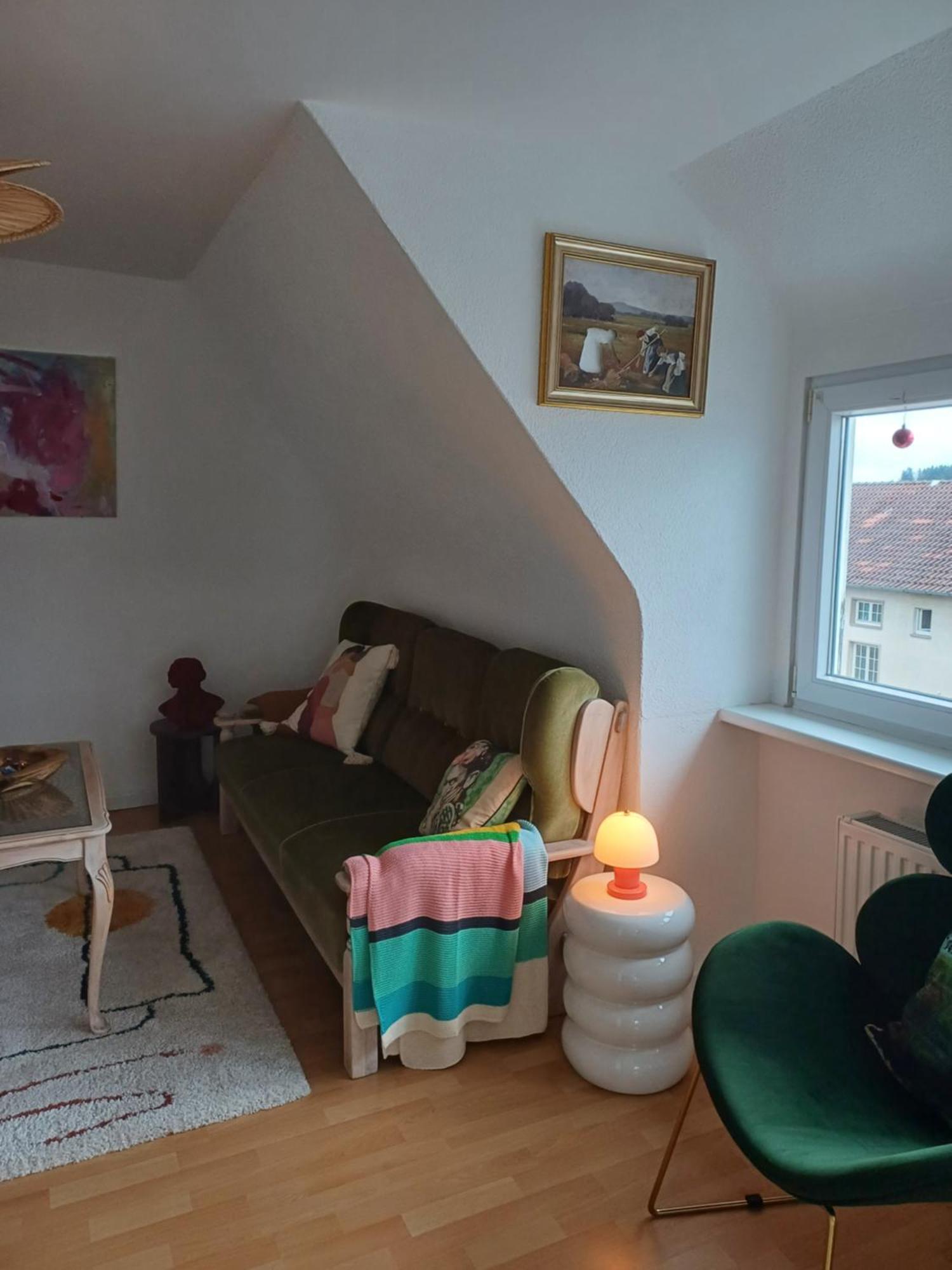 Appartamento Blick Auf Den Magdalenenberg Villingen-Schwenningen Esterno foto